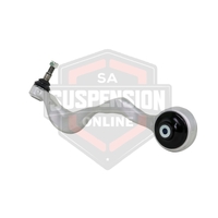 Radius Arm Lower - Arm (Radius Arm) 