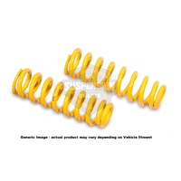 King Spring Coils (2x Coil Springs) Front