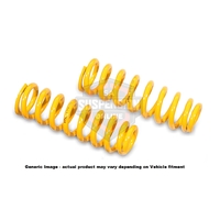 FR STD SPRING Fits Holden fits ve (Suspension Spring) Front