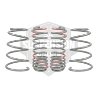 Coil Springs - Lowered (Suspension Set- springs) 