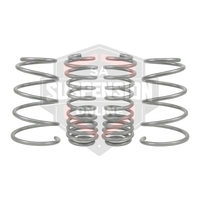 2x Coil Springss - Lowered (Suspension Set- springs) 