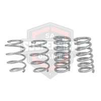 Coil Springs - Lowered (Suspension Set- springs) 