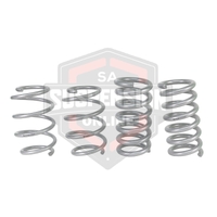 2x Coil Springss - Lowered (Suspension Set- springs) 