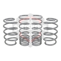 2x Coil Springss - Lowered (Suspension Set- springs) 