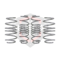 Coil Springs - Lowered (Suspension Set- springs) 