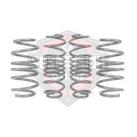 2x Coil Springss - Lowered (Suspension Set- springs) 