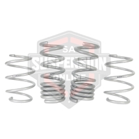 Coil Springs - lowered (Suspension Set- springs) 