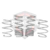 2x Coil Springss - lowered (Suspension Set- springs) 
