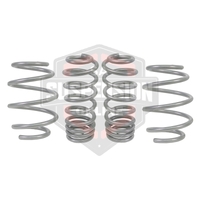 2x Coil Springss - Lowered (Suspension Set- springs) 