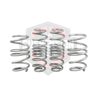 2x Coil Springss - Lowered (Suspension Set- springs) 