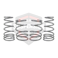 2x Coil Springss - Lowered (Suspension Set- springs) 