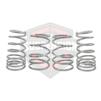 2x Coil Springss - Lowered (Suspension Set- springs) 