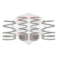 Coil Springs - Lowered (Suspension Set- springs) 