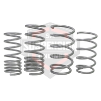 2x Coil Springss - Lowered (Suspension Set- springs) 