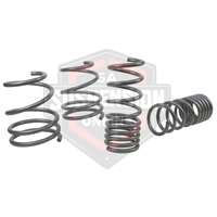 2x Coil Springss - Lowered (Suspension Set- springs) 