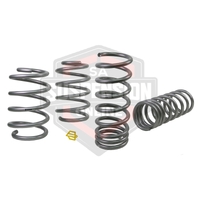 2x Coil Springss - Lowered (Suspension Set- springs) 