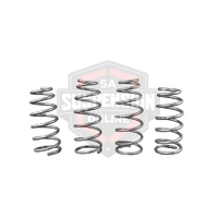 Coil Springs - Lowered (Suspension Set- springs) 