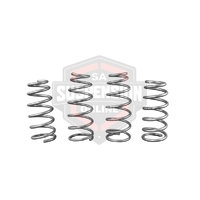 2x Coil Springss - Lowered (Suspension Set- springs) 