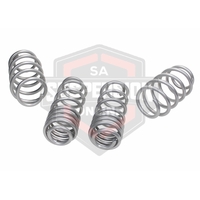 2x Coil Springss - Lowered (Suspension Kit- springs) 